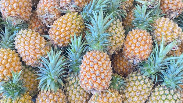 台湾ゴールデンダイヤモンドパイナップル 日本（本州・四国・九州）へ宅配　送料込み
