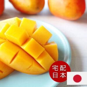 アップルマンゴーギフトボックス 日本（本州・四国・九州）へ宅配　送料込み